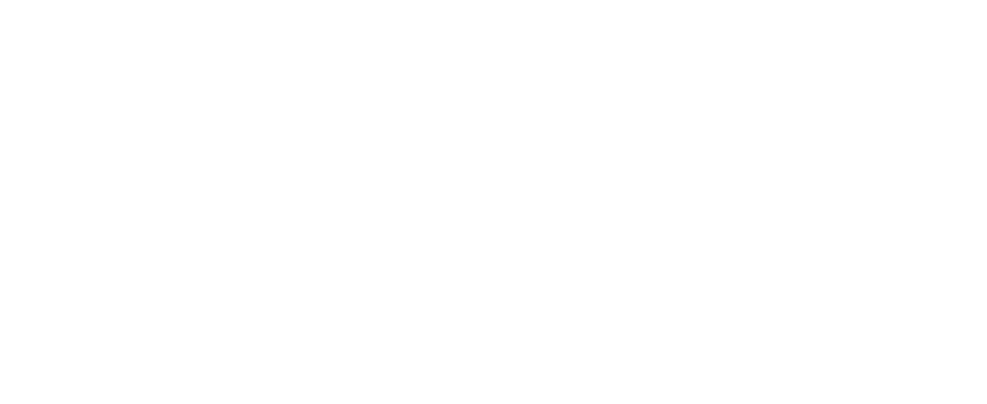 Logo Napa Perne Auto